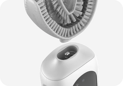 The MAJSTC SmartBrush