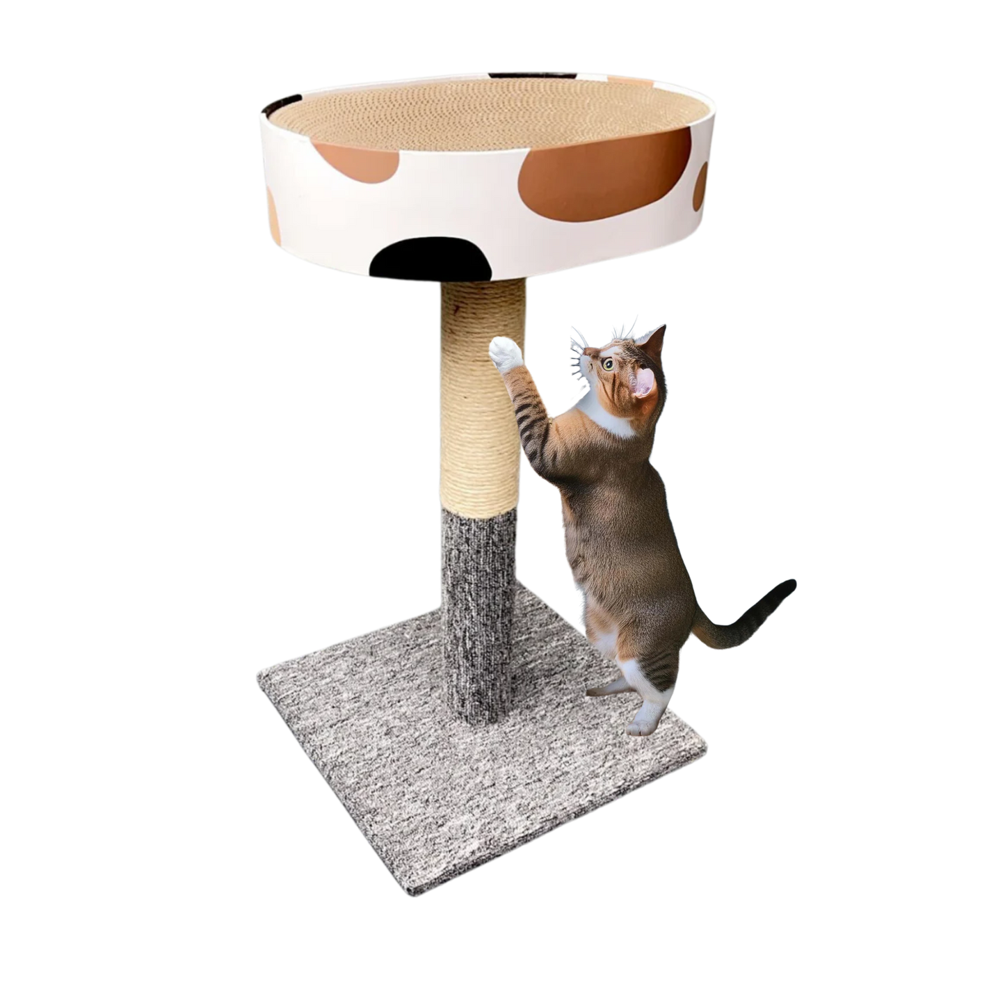 Everscratch™ Tree